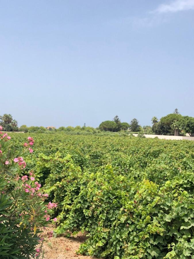 Stella Marina Villa Marsala Exterior photo